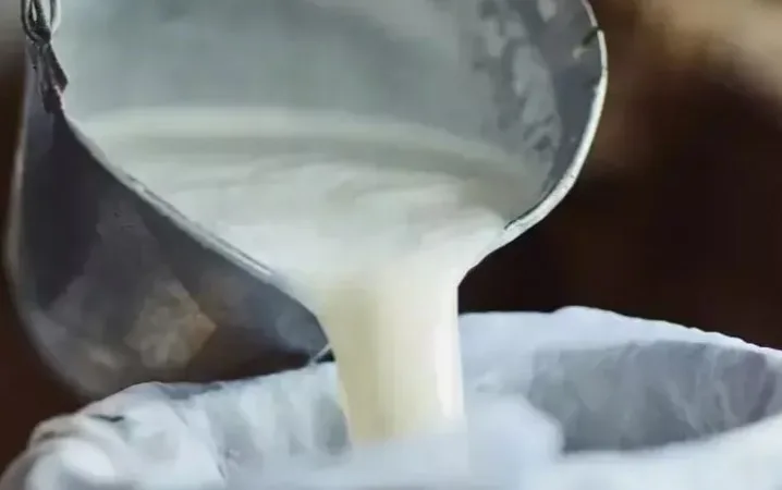 Şubat’ta Süt Üretimi Azaldı, Ayran ve Kefirde Artış Yaşandı