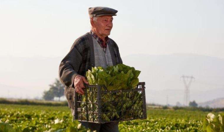 TZOB Başkanı Bayraktar: “2024 yılı itibarıyla çiftçilerimizin yaş ortalaması 59’a yükseldi”