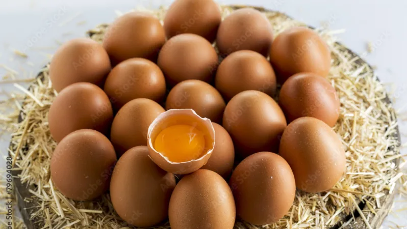 Tavuk Eti Üretimi Artarken, Yumurtada Düşüş Yaşandı