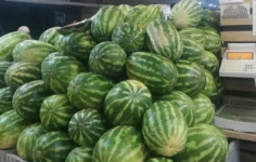 Karpuzda üretici-market farkı yüzde 613,8… Üreticide 1,18, markette 8,42 TL!