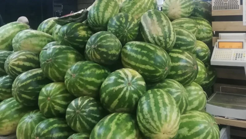 Karpuzda üretici-market farkı yüzde 613,8… Üreticide 1,18, markette 8,42 TL!